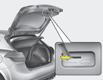 Your vehicle is equipped with the emergency tailgate safety release lever located